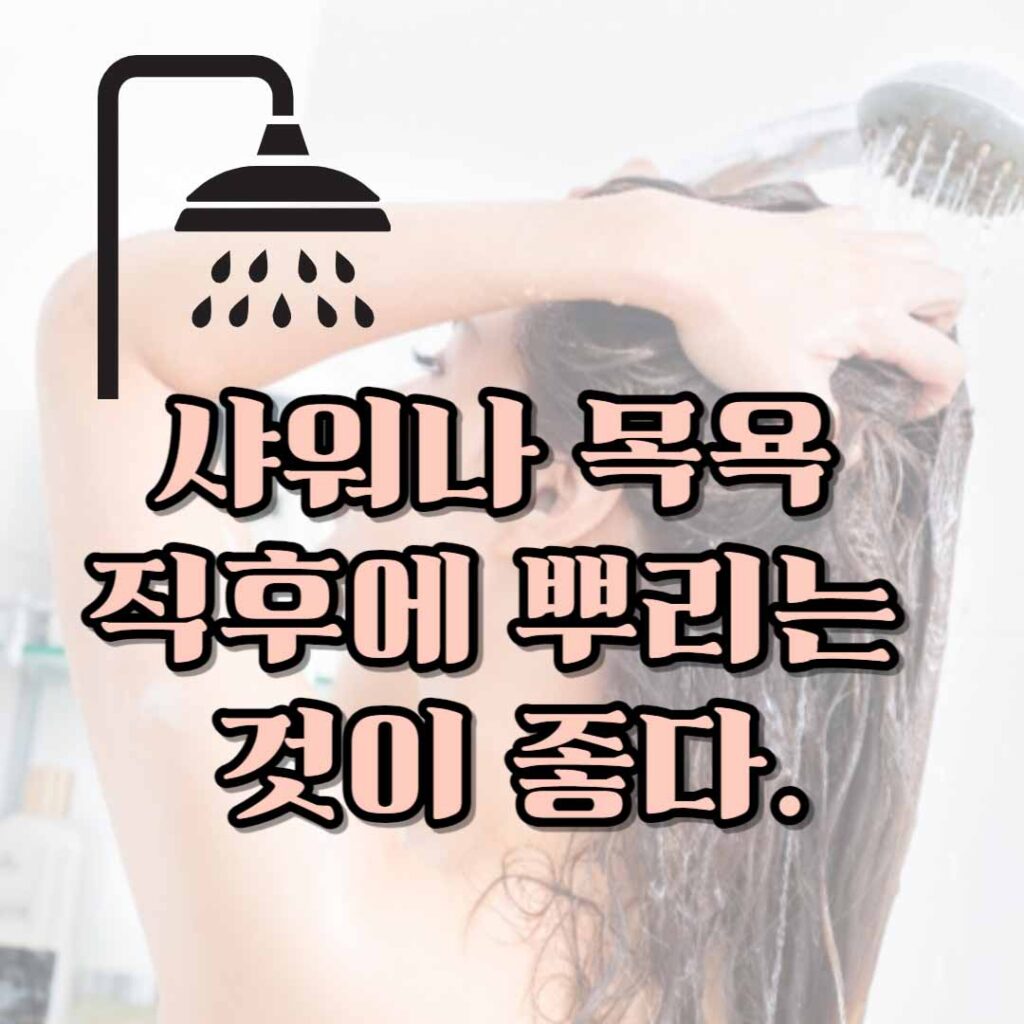 향수 효과적으로 뿌리는 법 ! 어디에 뿌려야 할까? 향수 뿌리는 법 3 향수 뿌리는 법
