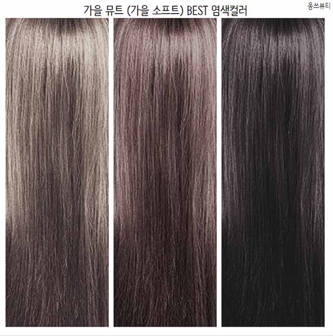 가을 웜 뮤트 염색