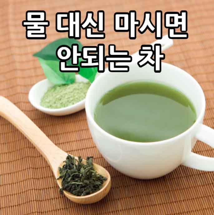 물 대신 마셔도 되는 차 물 대용 차 물 대신 마시면 안되는 차