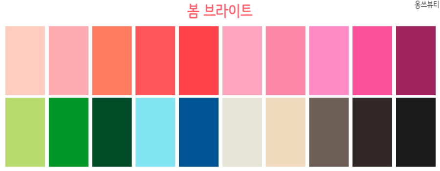 봄 웜 브라이트