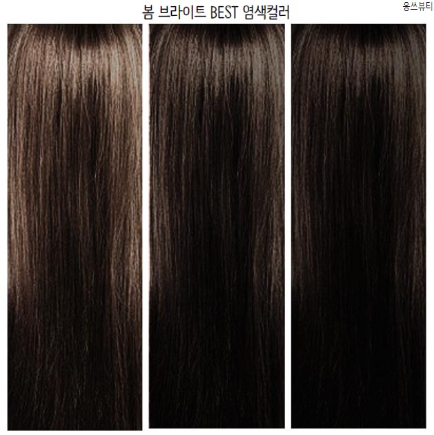 봄 웜 브라이트 염색