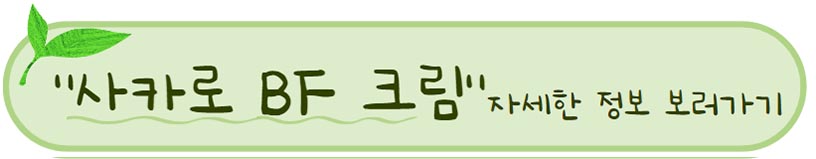 성분 좋고 순한 파운데이션, 비비 - 시드물 베이스 메이크업 제품 추천 BEST 3 ! 2 시드물 추천 사카로 BF 크림