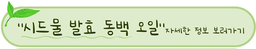 시드물 추천 발효 동백 오일