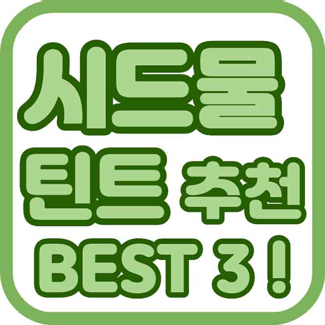 시드물틴트추천
