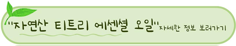 시드물 추천 자연산 티트리 에센셜 오일