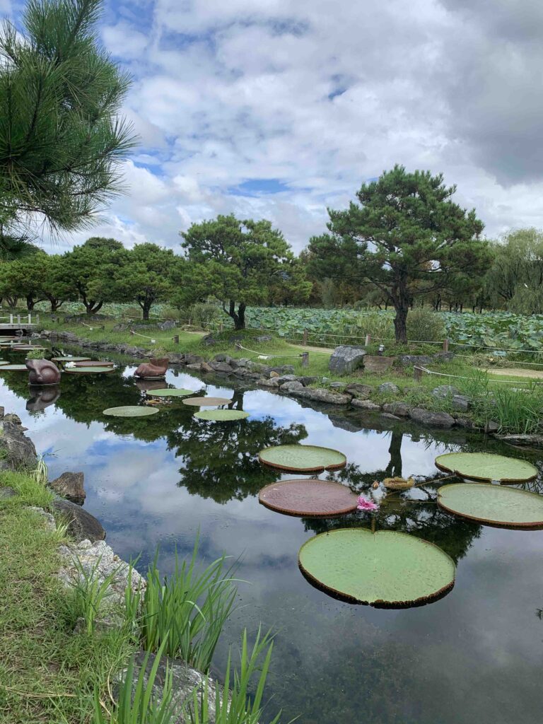 세미원