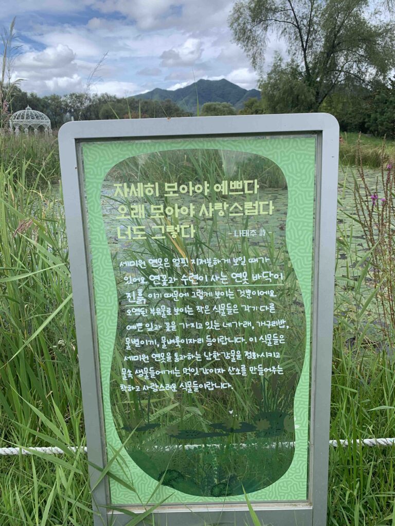 서울근교 당일치기 양평 가볼만한 곳 " 세미원 " 마음이편해지는곳 25 세미원