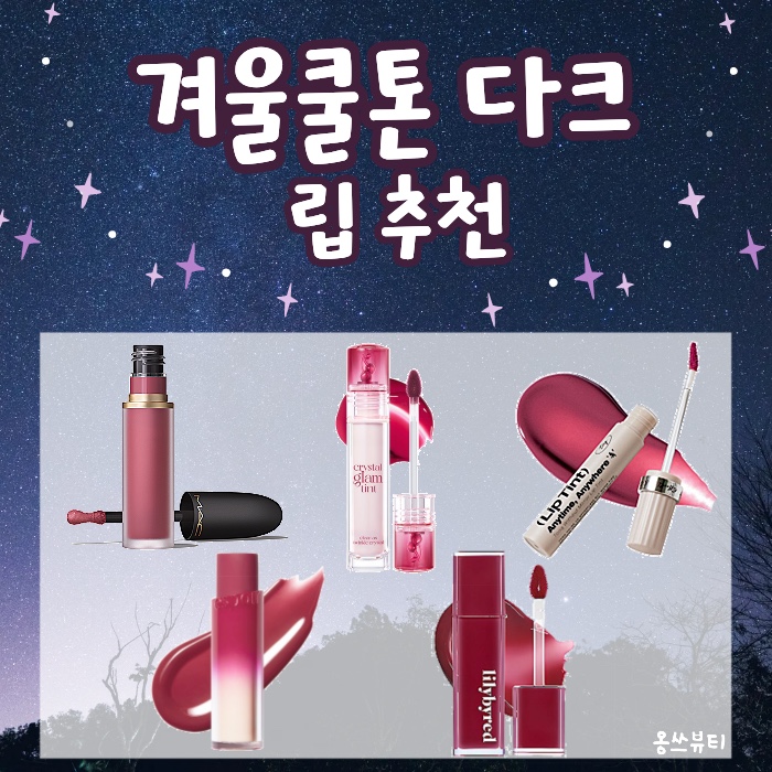 겨울쿨톤 다크 립 추천