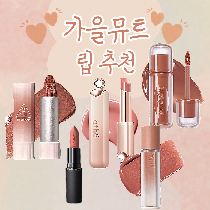 가을뮤트 립 추천 가을웜톤