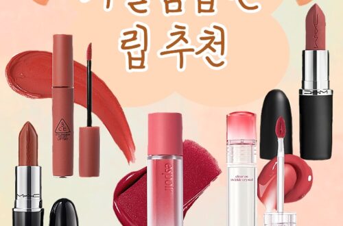가을웜딥 가을웜 가을웜톤 웜톤 가을웝딥톤 립 추천